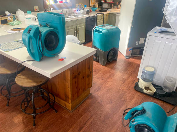 Best Local water damage restoration  in Hayward, CA