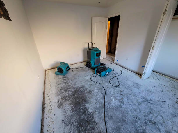 Best Flood restoration services  in Hayward, CA