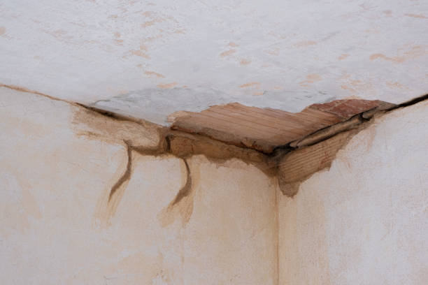 Best Mold removal after water damage  in Hayward, CA