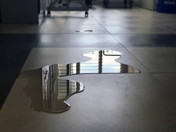 Best 24-hour water damage restoration  in Hayward, CA