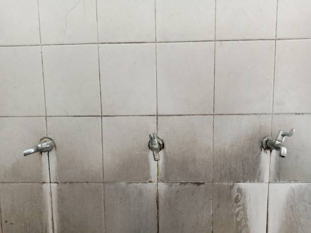 Best Water damage restoration specialists  in Hayward, CA