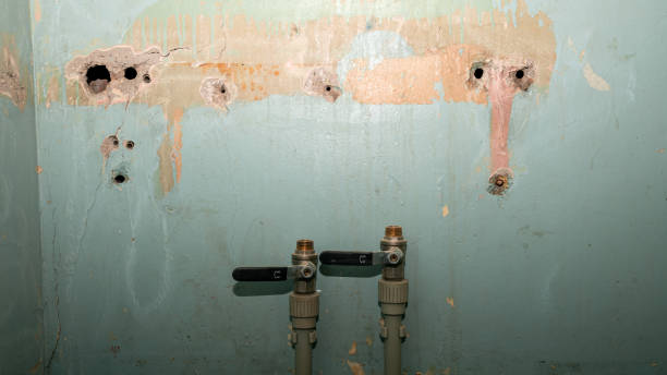 Best Fire Damage Restoration  in Hayward, CA