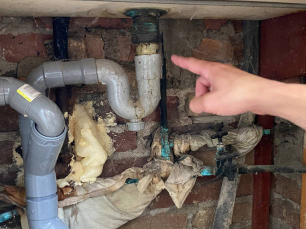 Best Sewage cleanup and water damage restoration  in Hayward, CA