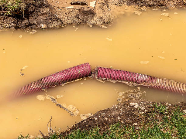 Best Water damage restoration near me  in Hayward, CA