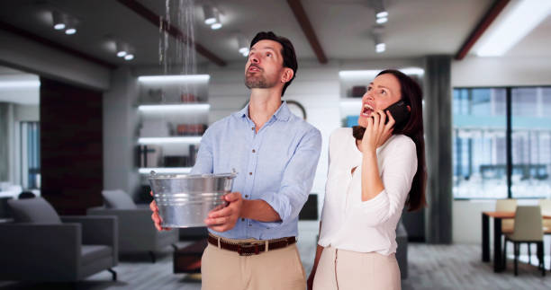 Best Ceiling water damage repair  in Hayward, CA
